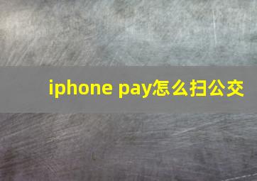 iphone pay怎么扫公交